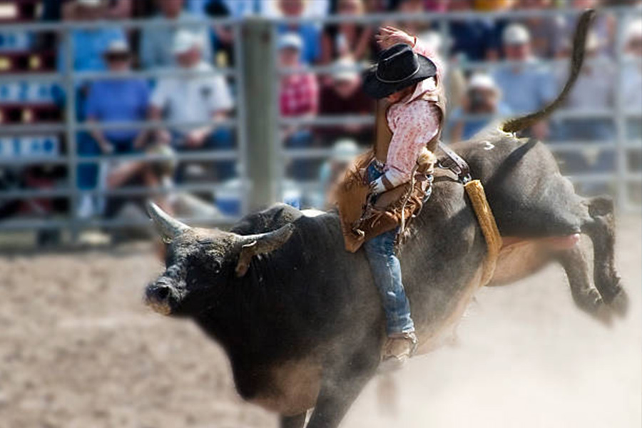 Welcome Reception Rodeo